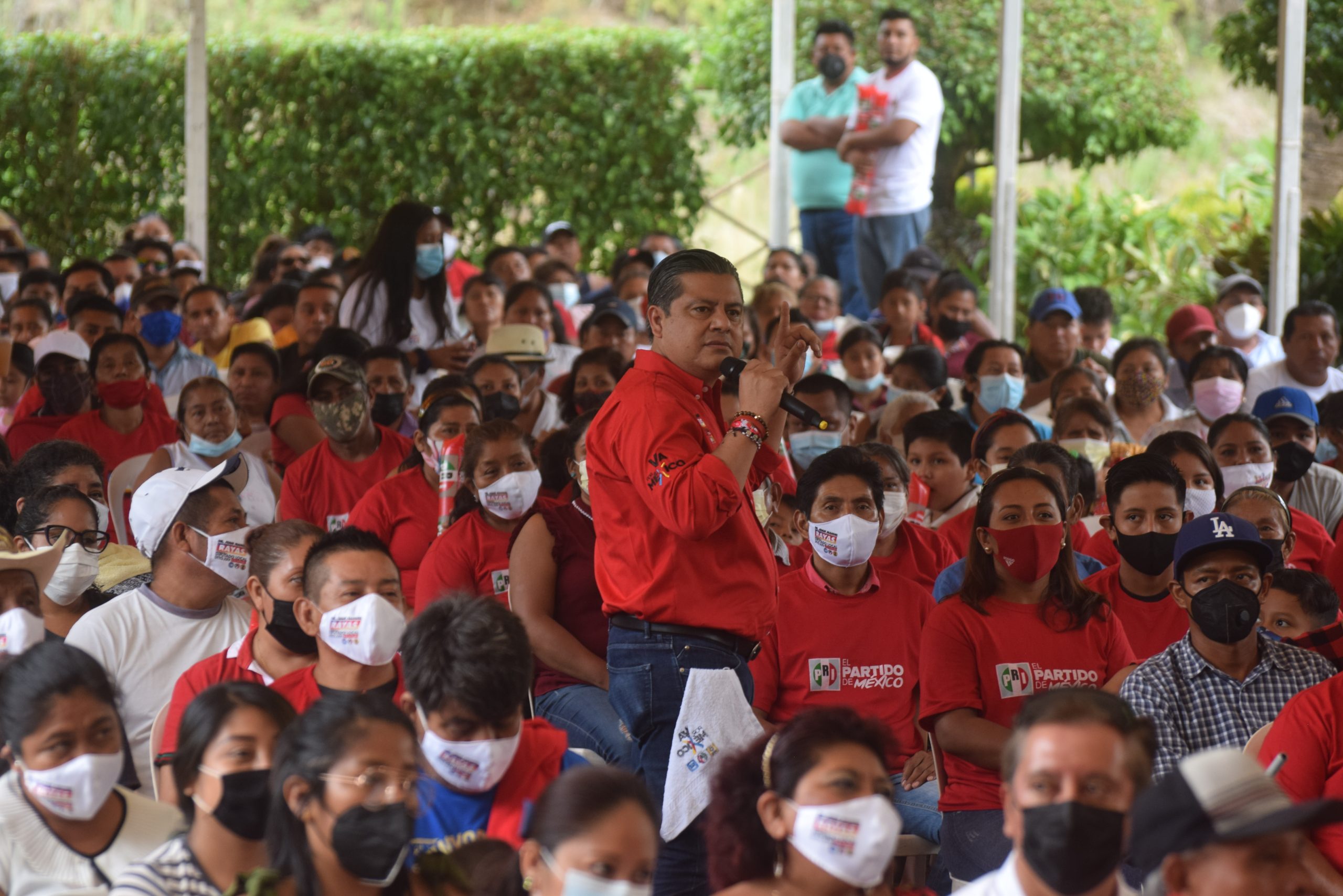 COMITÉ DIRECTIVO ESTATAL 